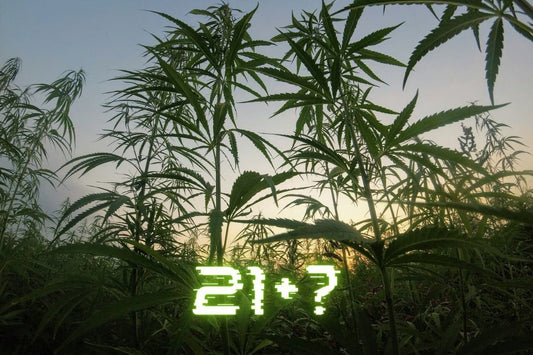 Delta 9 THC age restriction featured