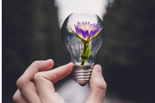 Benefits of Blue Lotus - Featured