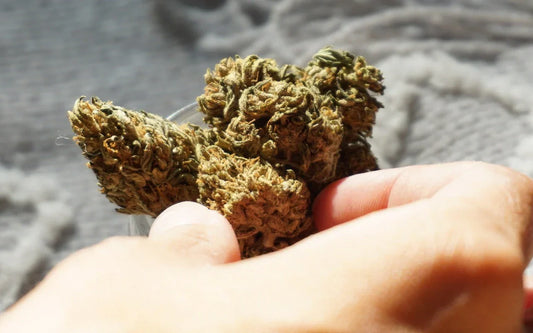 Delta 8 vs Delta 9 Hemp Products - Difference Between D8 and D9 - Flower - Galaxy Treats in the U.S.