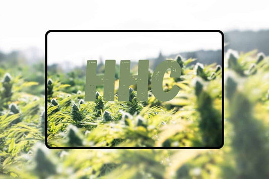 Benefits of HHC featured image