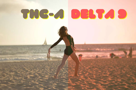 THC-A vs Delta 9 featured