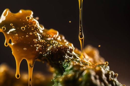 Live Resin Questions Answered
