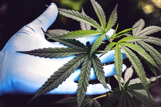 Delta 8 Products - THC - Galaxy Treats in the U.S.