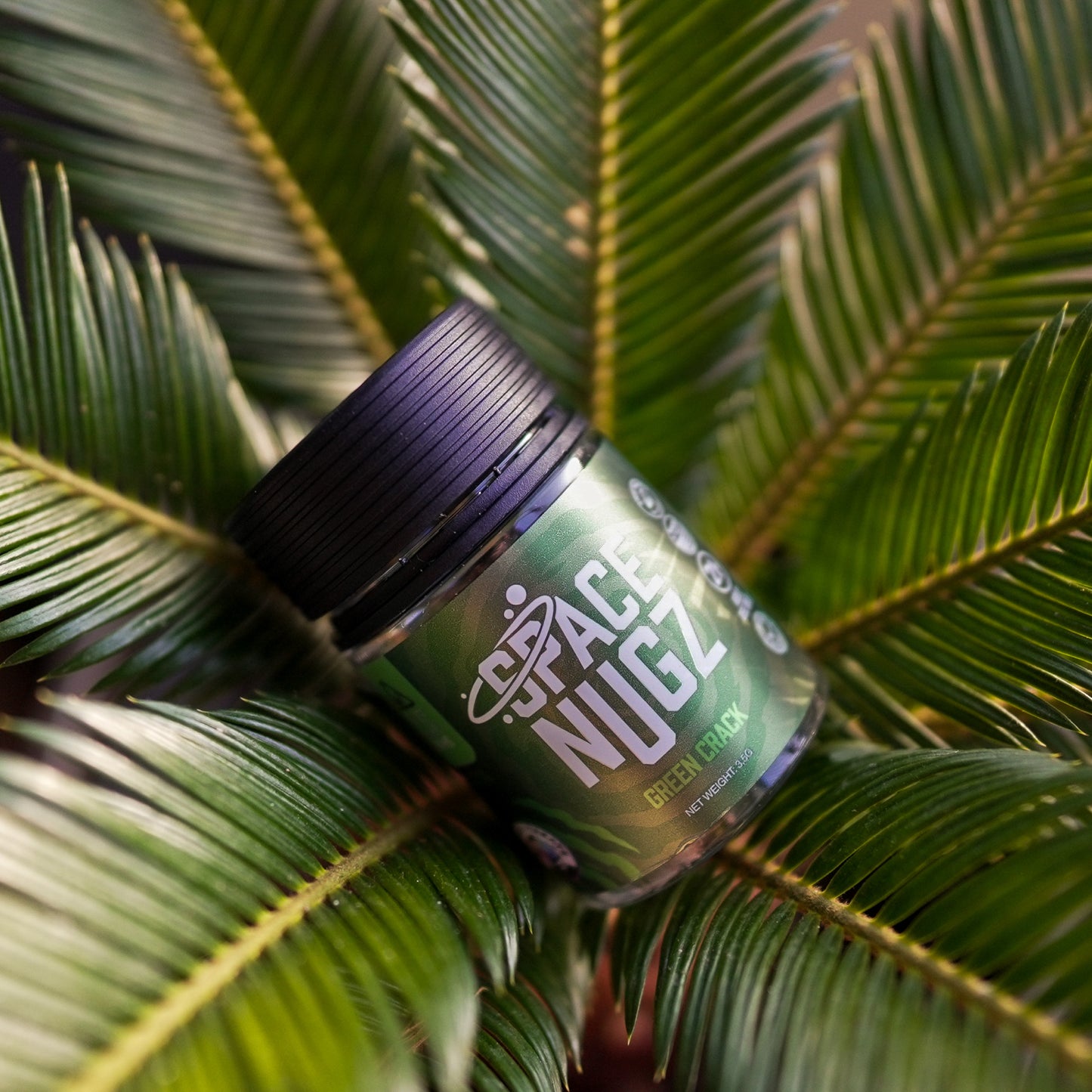 Green Crack THCA Flower - Sativa Flower Strain - Creative Shot of Jar On Plant - Galaxy Treats in the U.S.